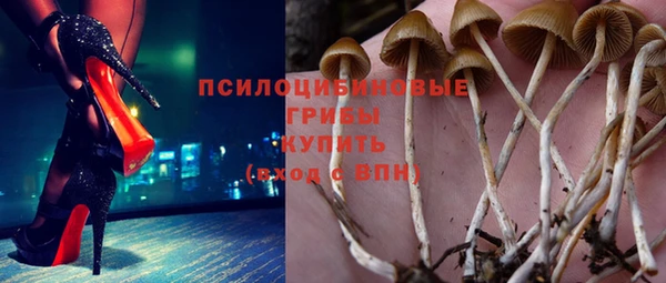 амф Алексин
